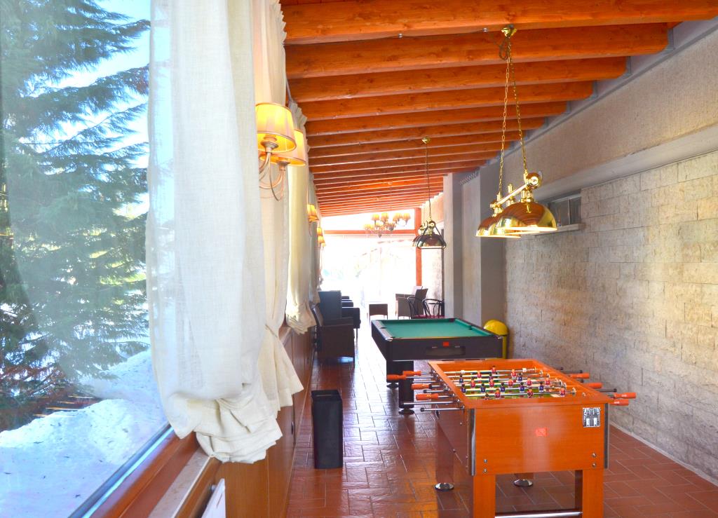 Hotel Alba Sporting - Biliardo