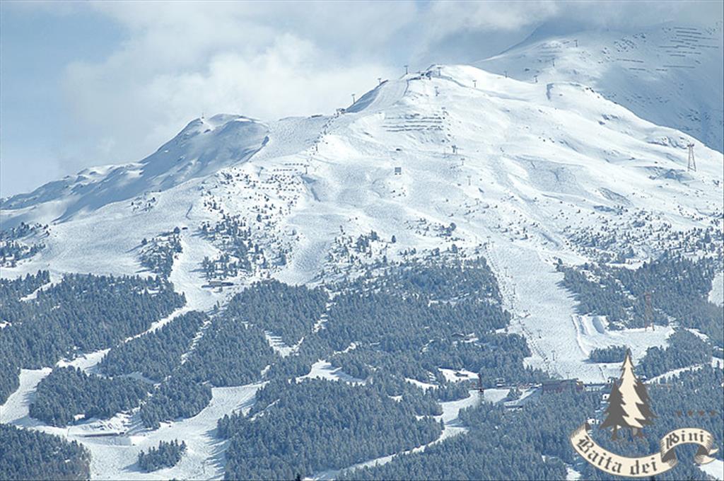 Hotel Baita dei Pini - PisteSciistiche