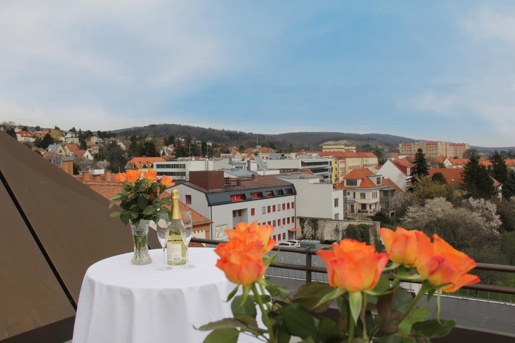 Hotel Burgenland - Esterno