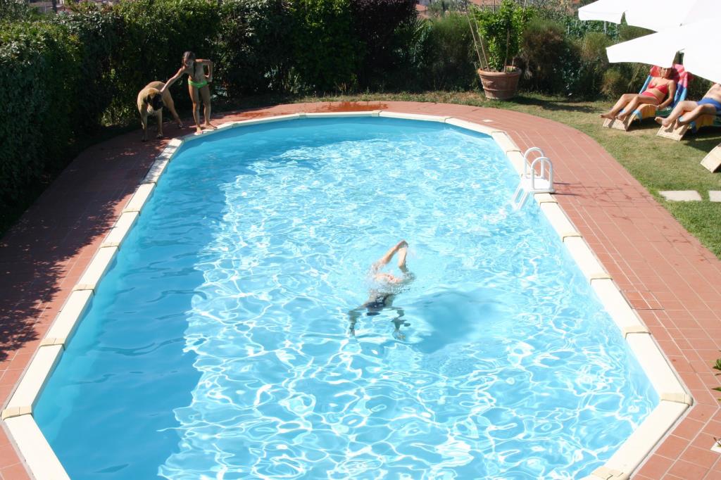 Agriturismo Collina Toscana Resort - Piscina