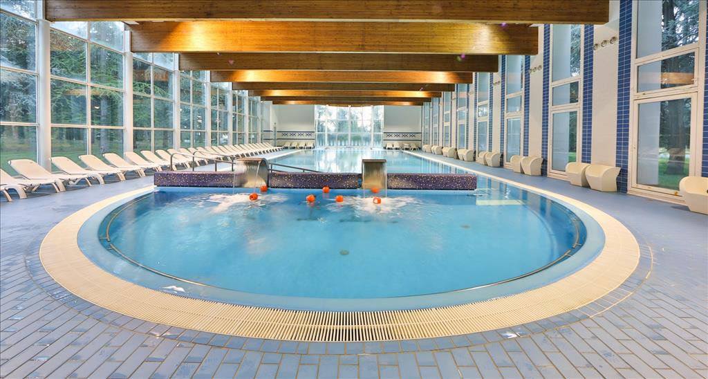 Hotel Delle Terme - Piscina