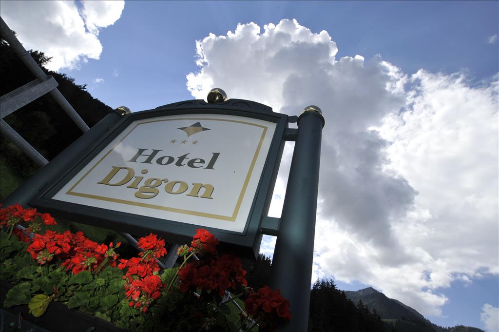 Hotel Digon - Insegna