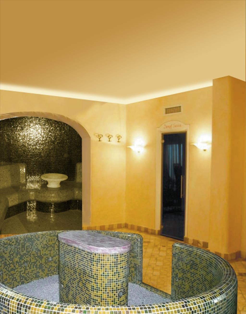 Hotel Garda Bellevue  - Wellness