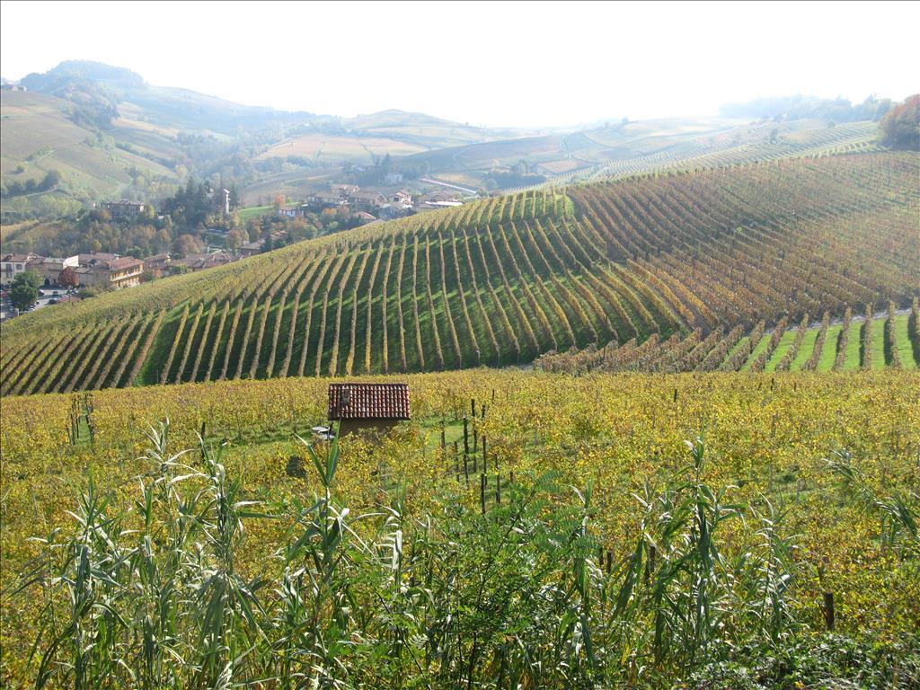 Hotel La Locanda del Nocciolo - Panorama