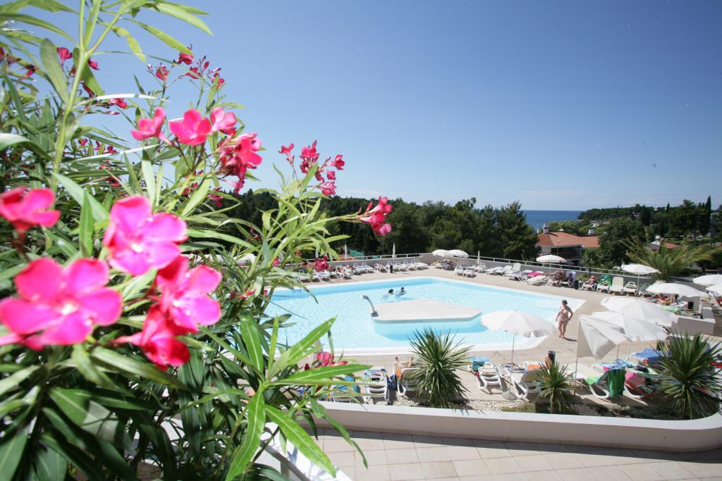Hotel Laguna Albatros - Piscina