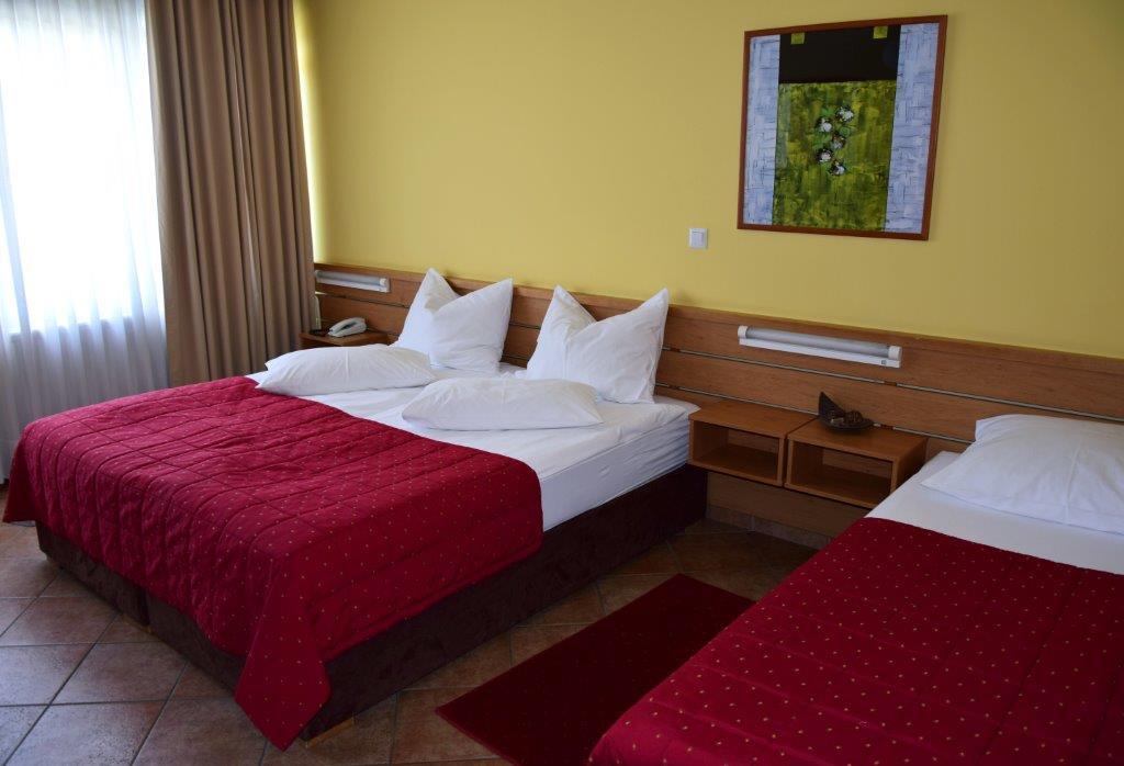 Hotel Ljubljana Resort - 