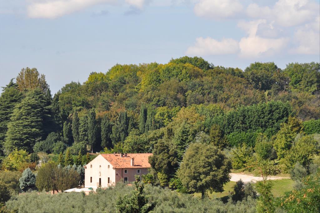 Hotel Locanda degli Ulivi - Esterno