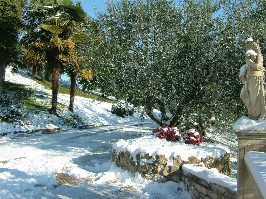 Hotel Locanda degli Ulivi - Esterno