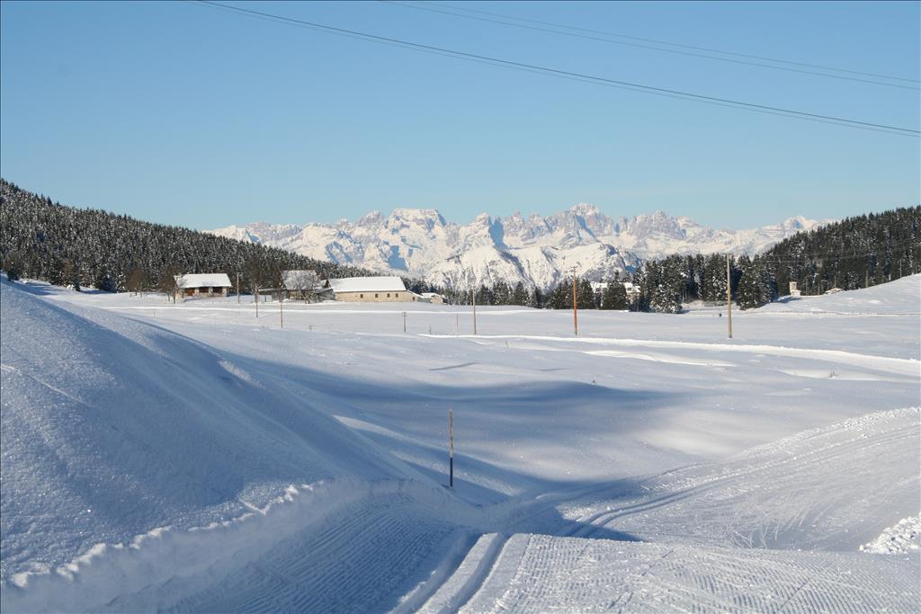 Hotel Mondschein  - 