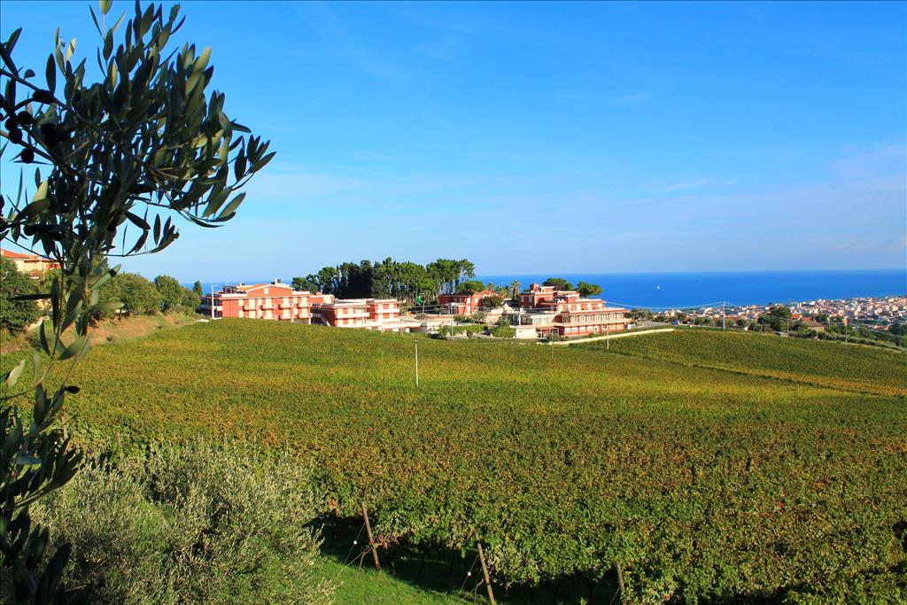 Hotel Parco sul Mare - Panorama