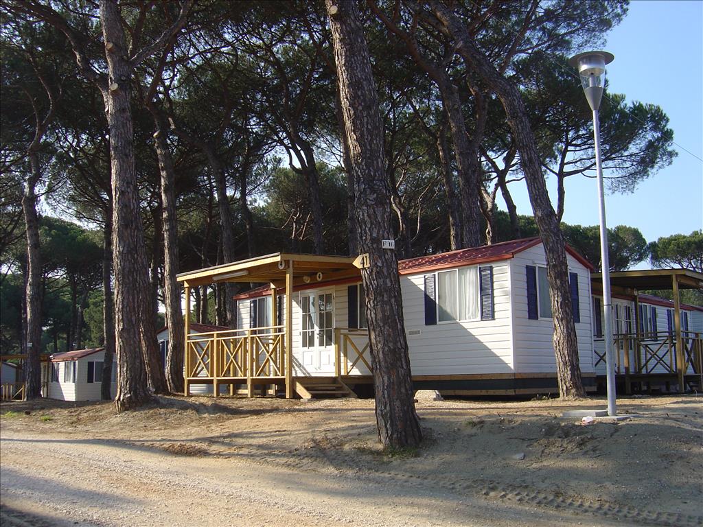 Camping  Pineta sul Mare - Esterno