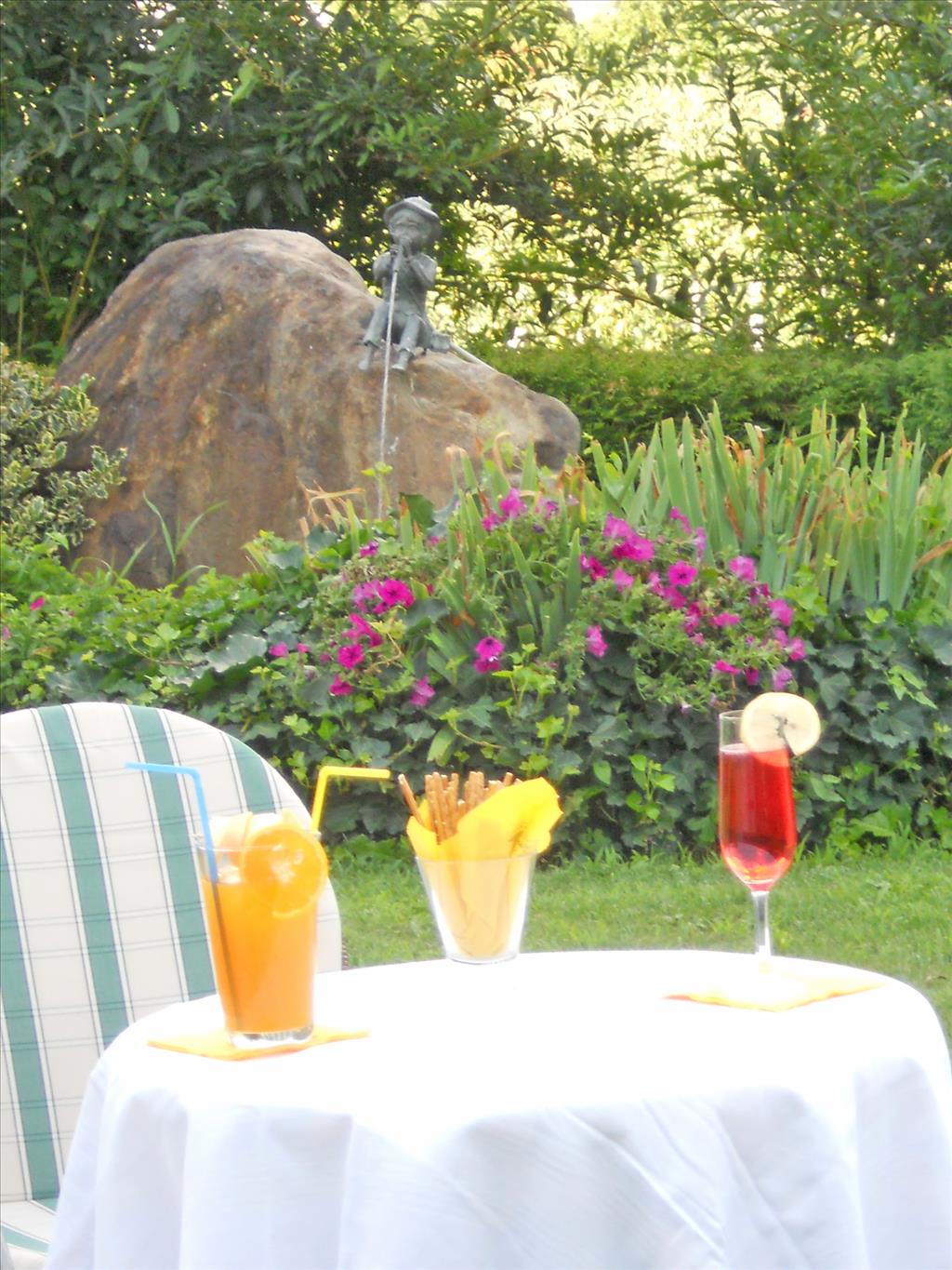 Hotel Premstaller  - Giardino