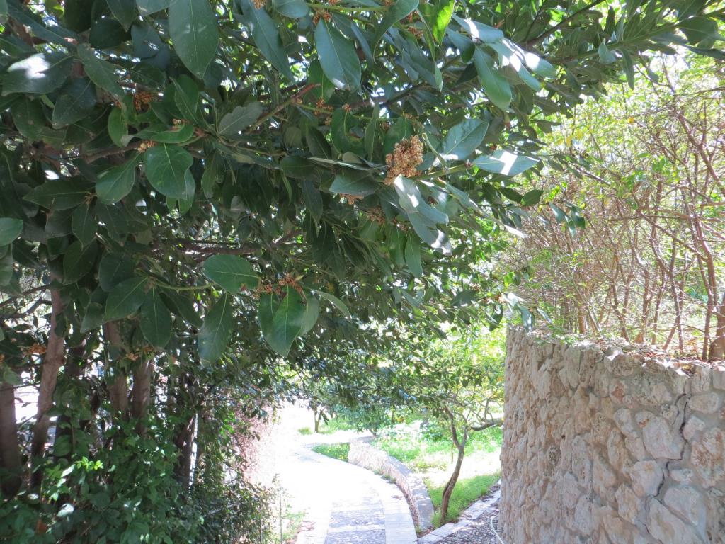 Villaggio Ripa - Esterno