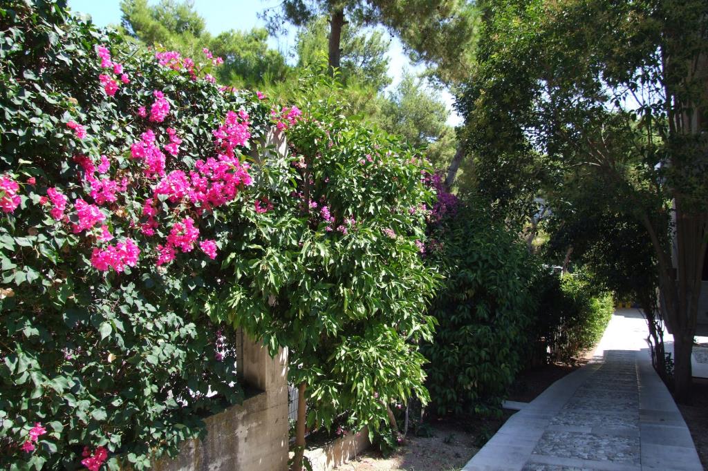 Villaggio Ripa - Esterno