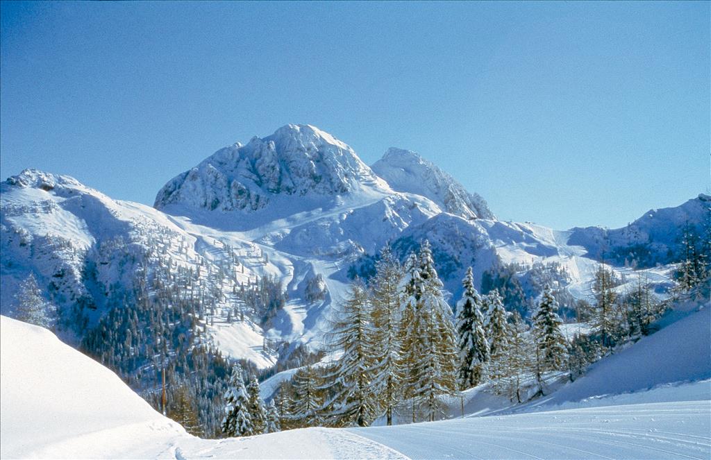 Hotel Schlank Schlemmer Kürschner  - Dintorni