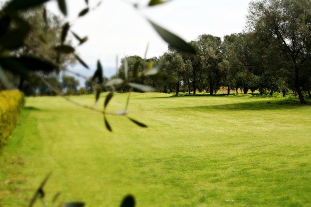 Hotel Tenuta Feudo Montalto Golf Club - Golf