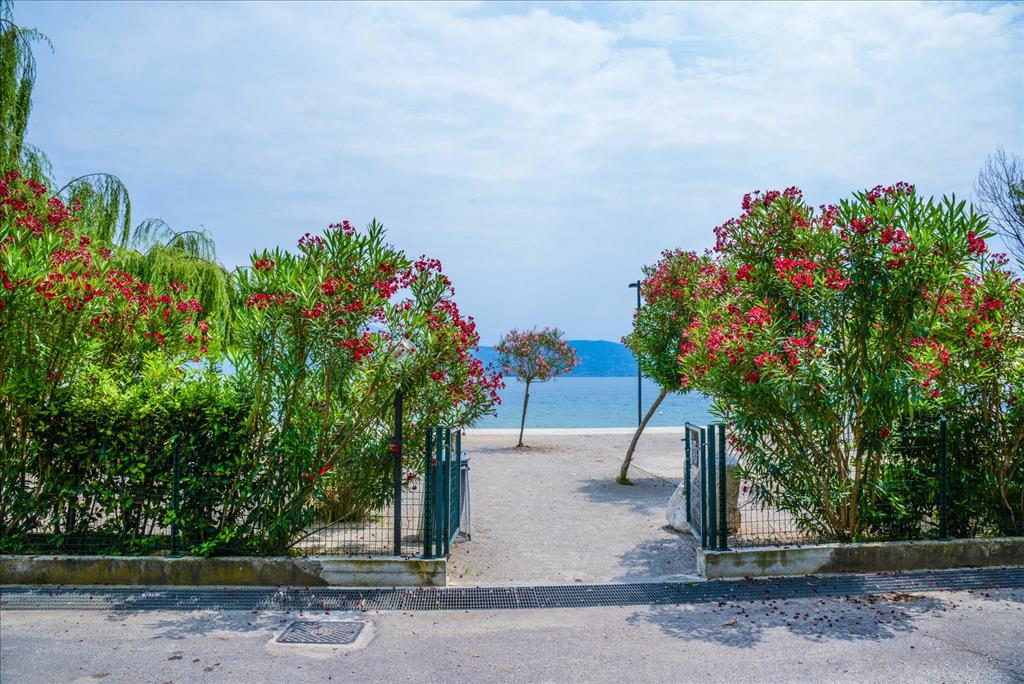 Camping  Toscolano - Ristoarnte
