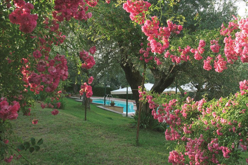 Hotel Villa Vecchia - Piscina