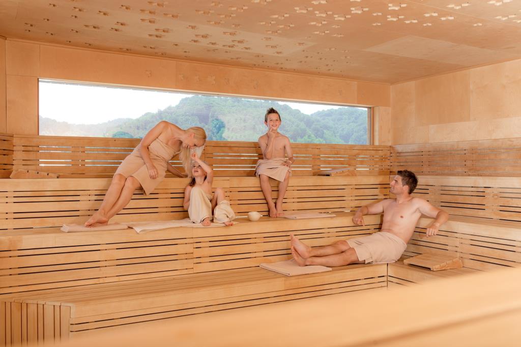Hotel Well  - Sauna